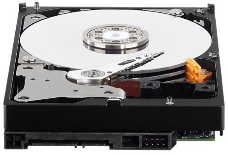 DYSK WD PURPLE 1TB PURX