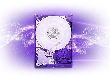 DYSK WD PURPLE 3TB PURX DYSK WD PURPLE 3TB PURX