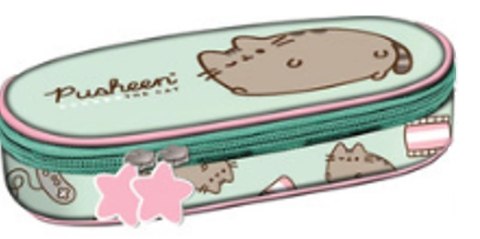 Piórnik szkolny usztywniany saszetka z klapą Pusheen Mint Piórnik szkolny usztywniany saszetka z klapą Pusheen Mint