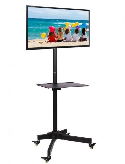 Uchwyt do TV TECHLY 100723 (nośność 20kg 19 - 37 cali) Uchwyt do TV TECHLY 100723 (nośność 20kg 19 - 37 cali)