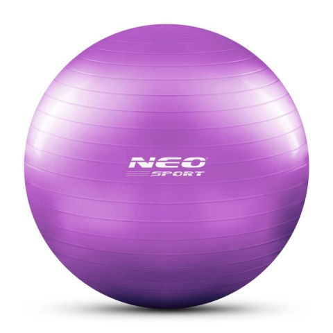 PIŁKA DO ĆWICZEŃ 65 CM NS-951 FIOLETOWA