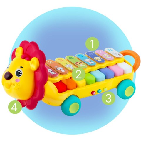 ZABAWKA EDUKACYJNA CYMBAŁKI, KSYLOFON LEWEK RK-740 RICOKIDS