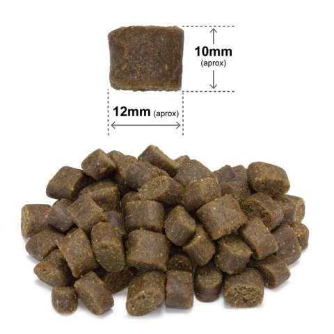 ARQUIVET FRESH Półwilgotna karma dla psa kurczak i ryba oceaniczna 10 kg ARQUIVET FRESH Półwilgotna karma dla psa kurczak i ryba oceaniczna 10 kg