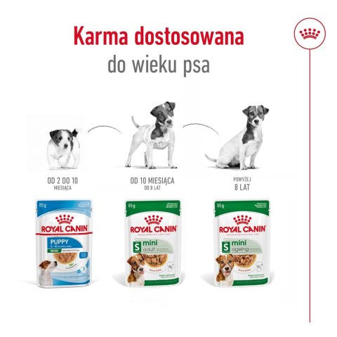 Karma ROYAL CANIN SHN Mini Adult w sosie 12X85G Karma ROYAL CANIN SHN Mini Adult w sosie 12X85G