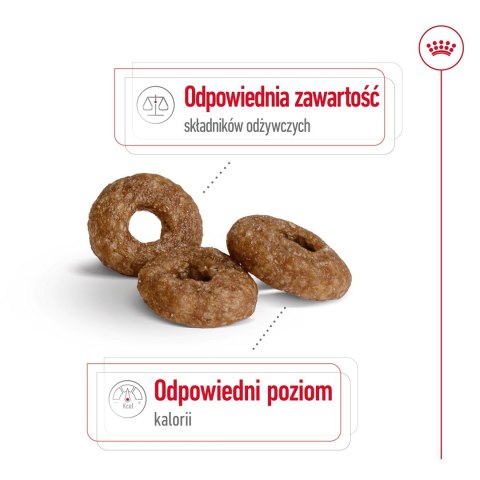 Karma Royal Canin SHN Mini Ageing (3,50 kg ) Karma Royal Canin SHN Mini Ageing (3,50 kg )
