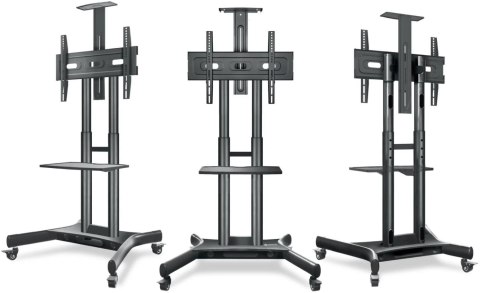 Mobilny stojak do TV 40"-70" do 45 kg ONKRON TS1551 Czarny Mobilny stojak do TV 40"-70" do 45 kg ONKRON TS1551 Czarny