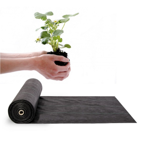 Agrotkanina ogrodowa 90g/m2 1,6m x 100m czarna Plonos Agrotkanina ogrodowa 90g/m2 1,6m x 100m czarna Plonos