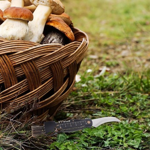 Nożyk do grzybów stalowy Nożyk do grzybów stalowy